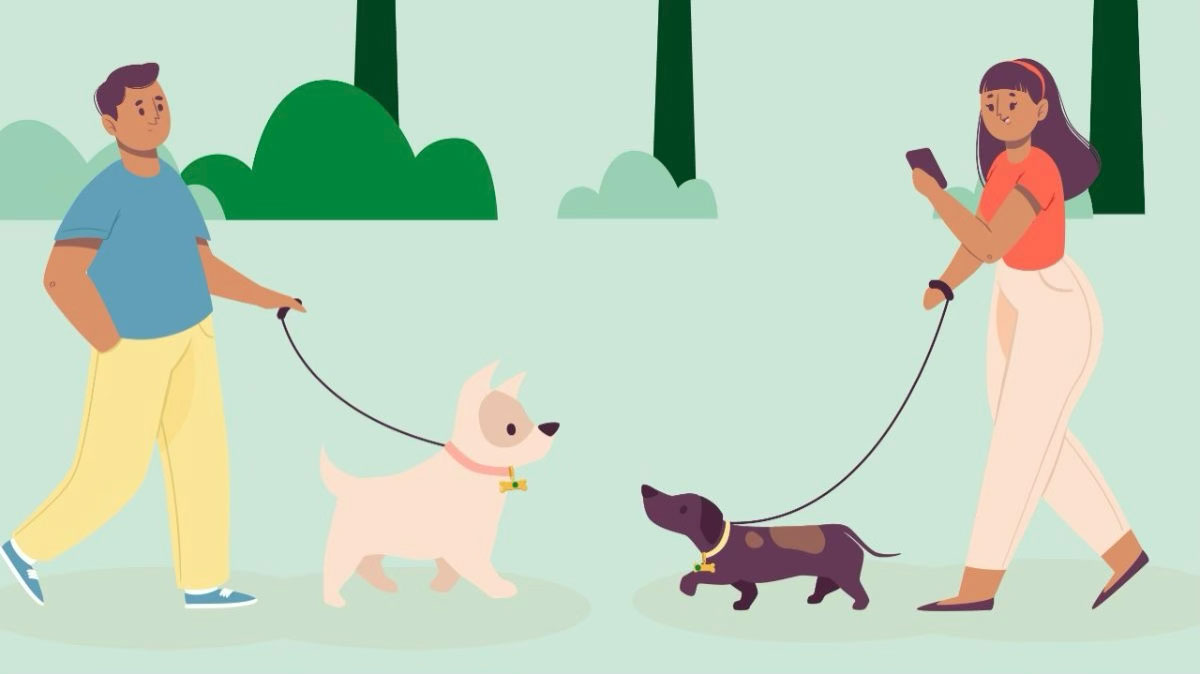 cuidado-tenencia-responsable-mascotas