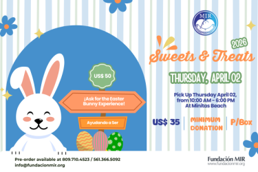 sweet-treats-ss-2026-cs-news-marzo.png